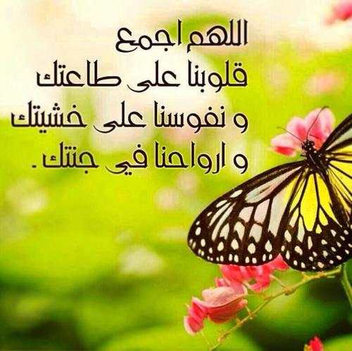 أدعية يومية رائعة स्क्रीनशॉट 1