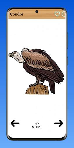 How to Draw Birds of Prey screenshot 4