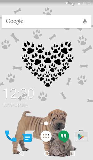 Cute Puppies Wallpaper Theme screenshot 6