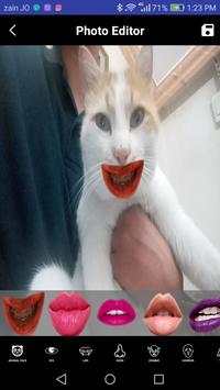 Funny Face Editor screenshot 3