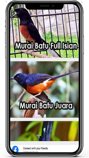 Masteran Murai Batu Offline Terlengkap 2 تصوير الشاشة
