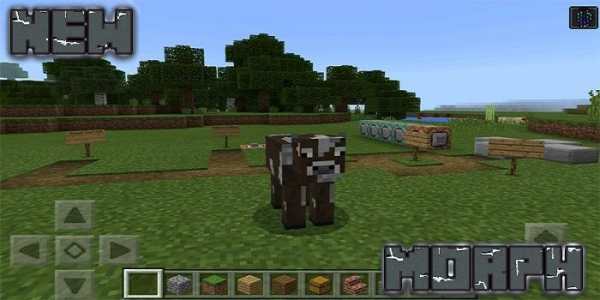 Morph MOD For Minecraft PE screenshot 2