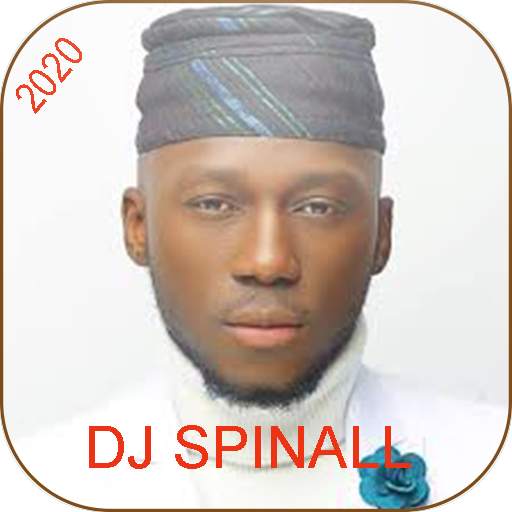 dj spinall 2020 -best songs- 1.0
