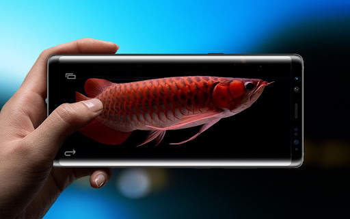 Red Arowana 3D LiveWallpaper screenshot 5