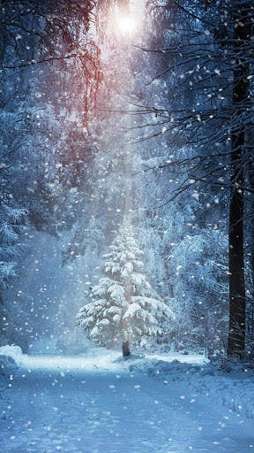 Winter Snow APUS Live Wallpaper screenshot 5