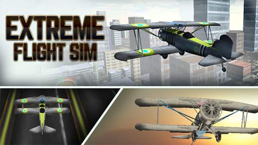 Extreme Flight Sim screenshot 1