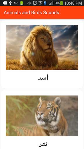 Animals and Birds Sounds screenshot 7