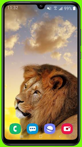 Lion Wallpaper Best HD screenshot 4