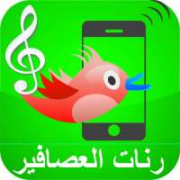 أصوات العصافير روعة رنات لهاتفك - نغمات الغابة