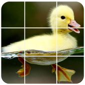 Birds Puzzle icon