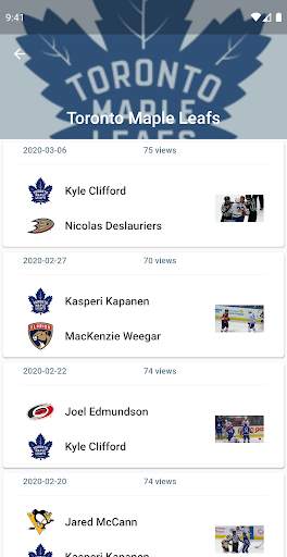 Hockey Fights screenshot 4