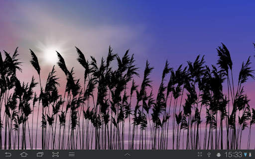 Reeds Free Live Wallpaper screenshot 8