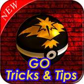 Tricks & Tips Pokemon Go