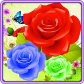 Bubble Rose