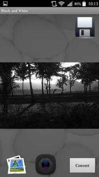Black White Camera 2 تصوير الشاشة