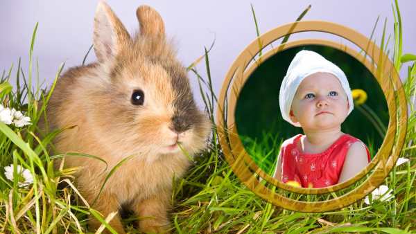 Sweet Little Animals Frames screenshot 8