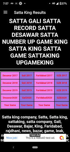 SATTA-KING-RESULT.COM screenshot 2