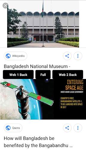 Dual Fast Browser screenshot 3