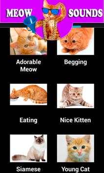 Funny Cat Sounds screenshot 5