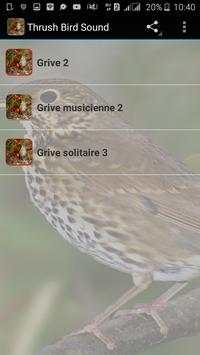 Thrush Bird Sound screenshot 1