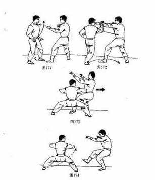 Learn Kung Fu Techniques screenshot 7