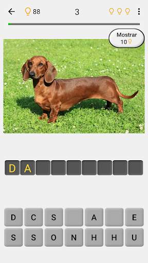 Cachorros - Quiz sobre todas as raças populares screenshot 2