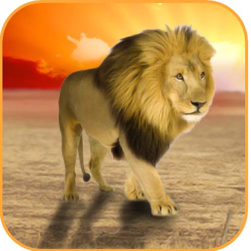 Wild Lion Simulator 2016 1.4