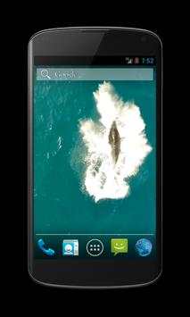 Whales Free Video Wallpaper screenshot 4