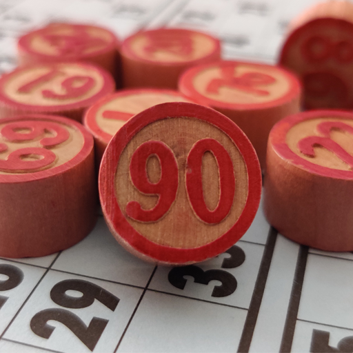 Bingo Ninety icon