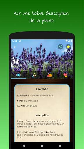 myRemedy: Plantes Médicinales screenshot 4