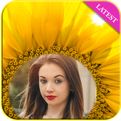 Sunflower photo frames icon