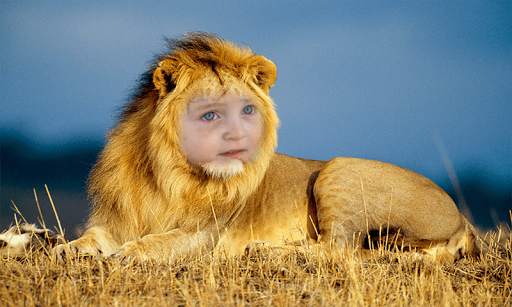 Lion Face Photo Editor screenshot 3