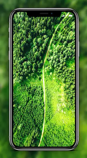 Green Wallpaper screenshot 7