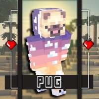 Skin Pug For Minecraft on 9Apps