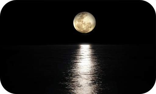 HD Black Wallpapers screenshot 2