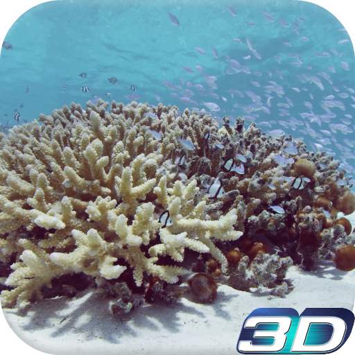 Sea Life Video Live Wallpaper 6.0