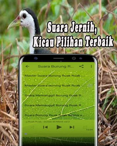 Suara Pikat Ruak Ruak MP3 screenshot 3