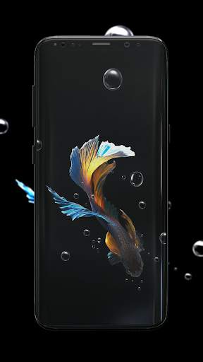 Betta Fish Wallpaper screenshot 1