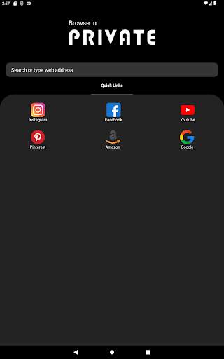 Private Browser - Incognito screenshot 7