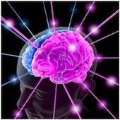 Game Of Brains icon