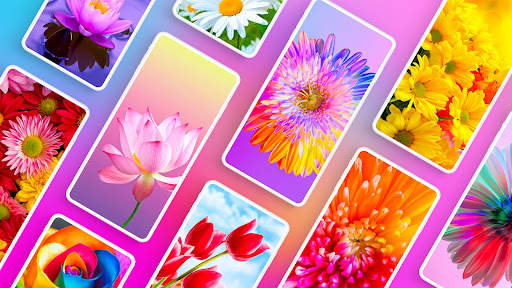 Flower Wallpapers 4K screenshot 1