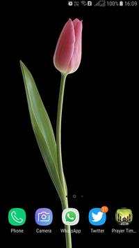 HD Tulip New Wallpaper screenshot 4