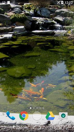 Koi Live Wallpaper screenshot 3