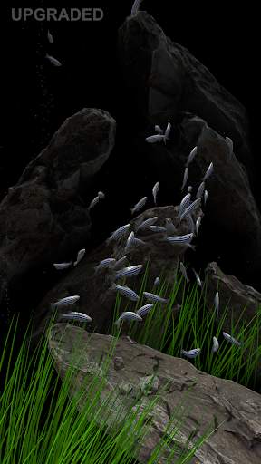 NANO AQUARIUM Free screenshot 11
