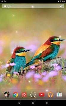 Spring Birds screenshot 9