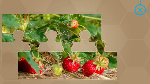 Fruits and Vegetables for Kids - Flashcards Puzzle скриншот 6