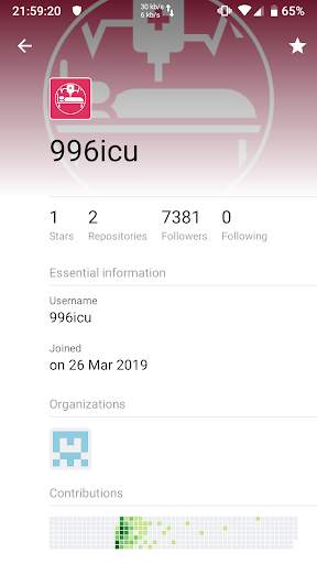 My GitHub screenshot 6