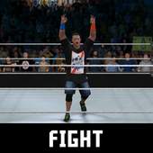 Mega Wrestling WWE Updates 5.0