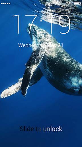 Blue Whale Lock Screen screenshot 5