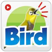 Sound Bird Singing 1.0